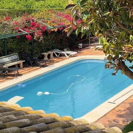 Villa Iluminada Con Chimenea, Barbacoa Y Piscina Cerca Playa Elx